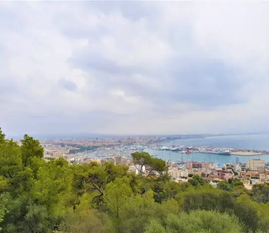 Kreuzfahrt nach Palma (de Mallorca): Hafen, Ausflüge & Sehenswürdigkeiten