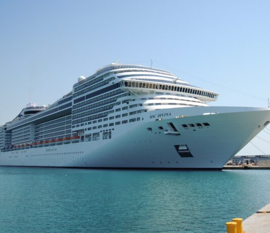 MSC Divina: Aktuelle Position
