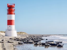 Costa Nordsee-Kreuzfahrt: Routen & Angebote