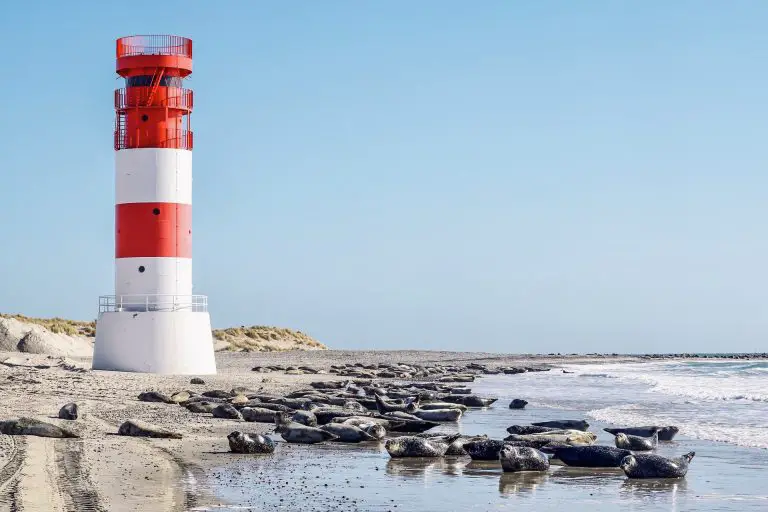 Costa Nordsee-Kreuzfahrt: Routen & Angebote