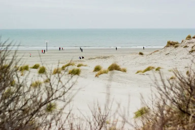 fähre hoek van holland harwich